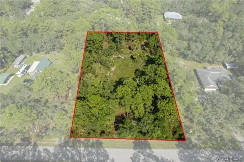 Spacious Homesite in Citrus Park