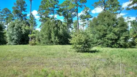 Residential Lot in Cordele, GA