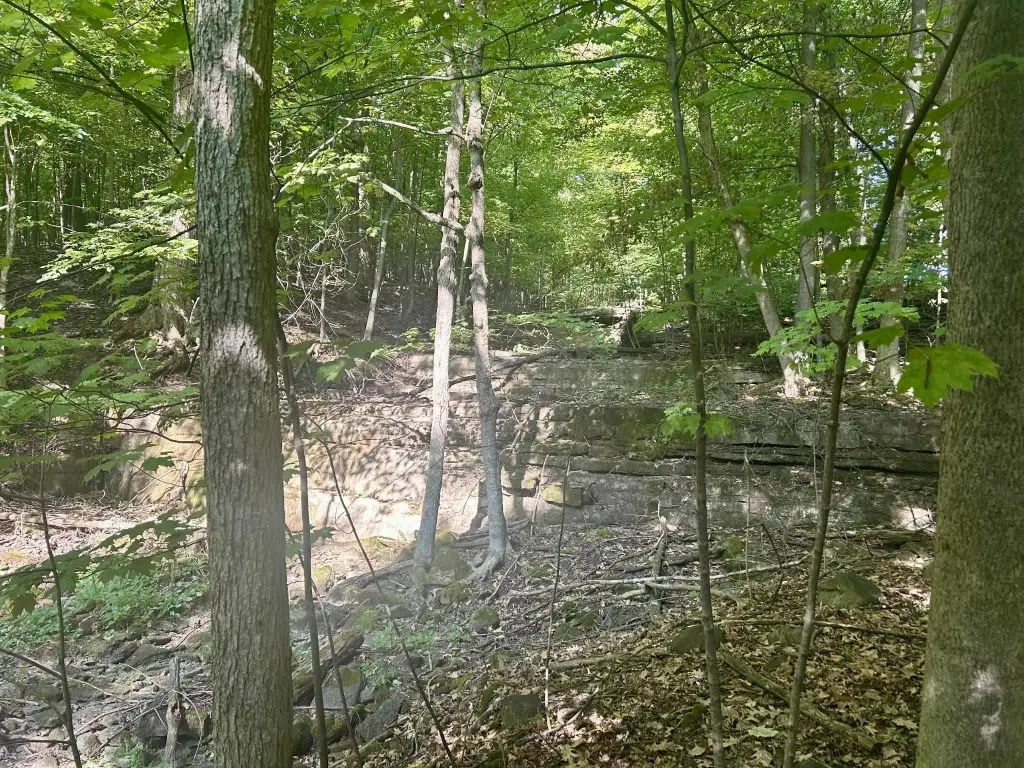 Picture 13