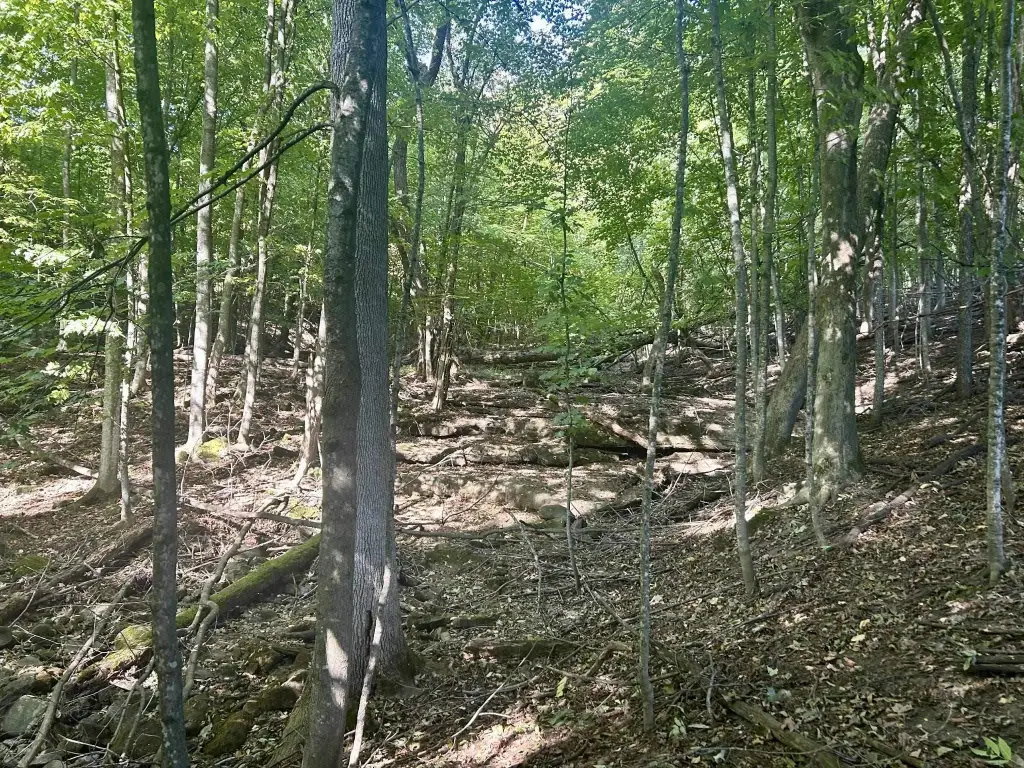 Picture 4