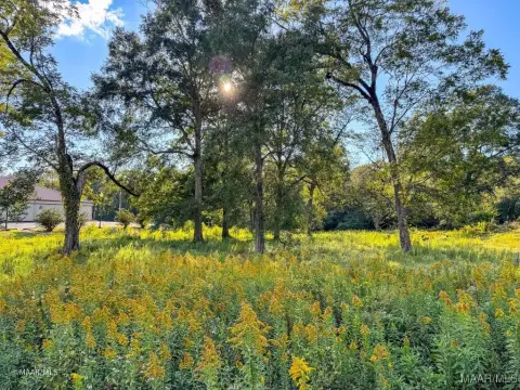 Commercial Land in Grove Hill