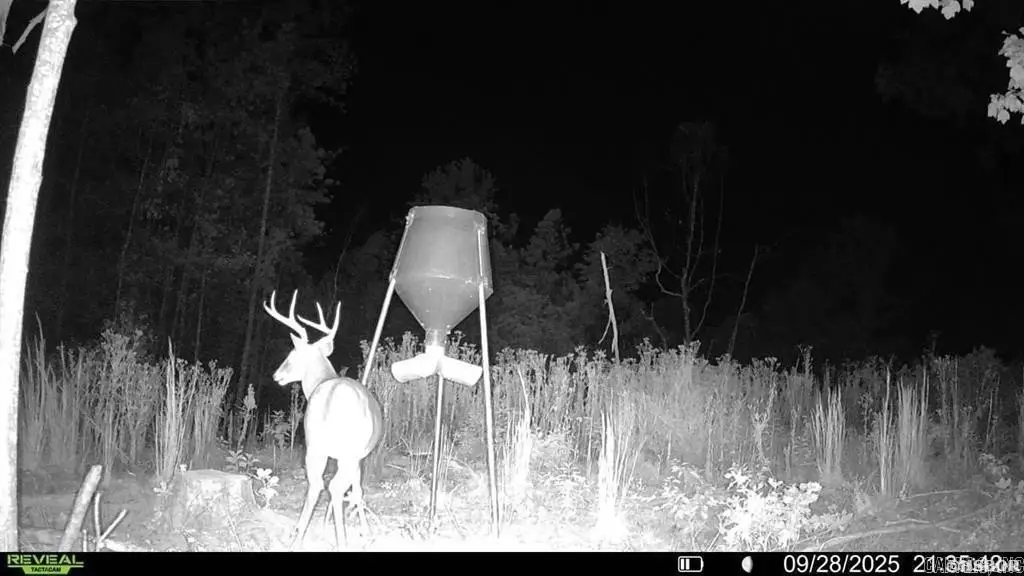 Picture 12