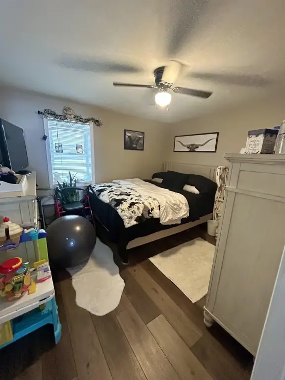 Picture 20