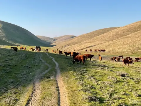 601.88 Acres Prime Grazing Land