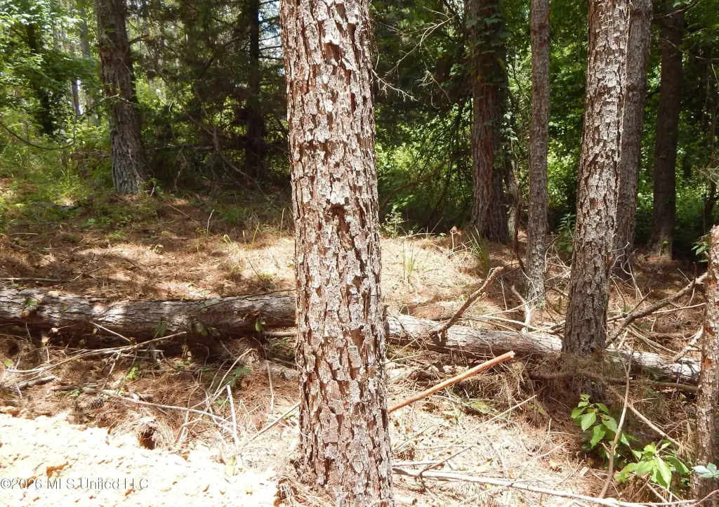 Picture 3
