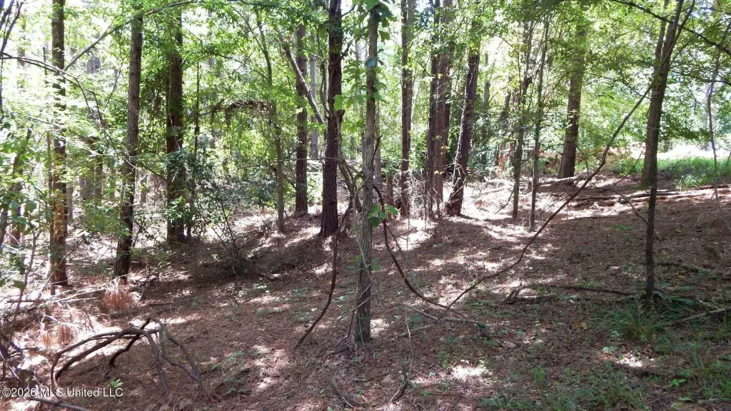 Picture 4