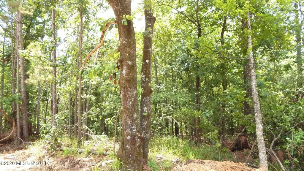 Picture 12