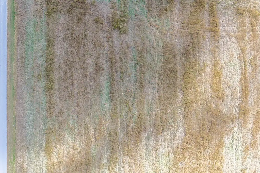 Picture 27