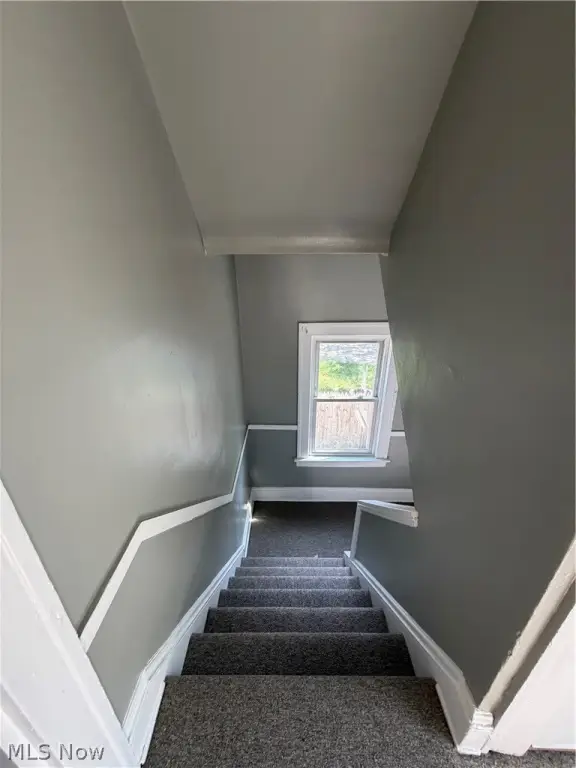 Picture 28