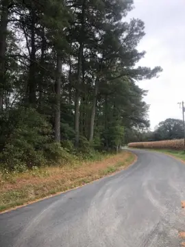 Wooded Land Near Parkers Creek