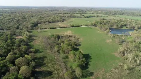 80 Acres of Versatile Land