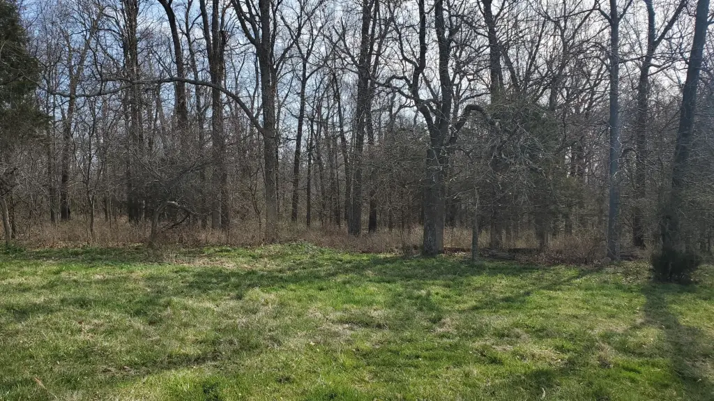 Picture 2