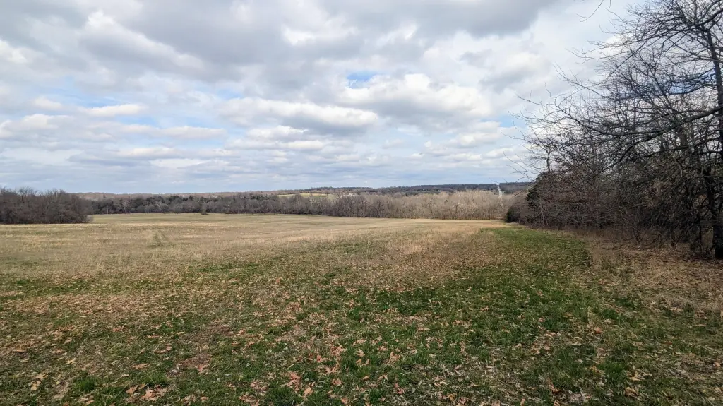 Picture 3