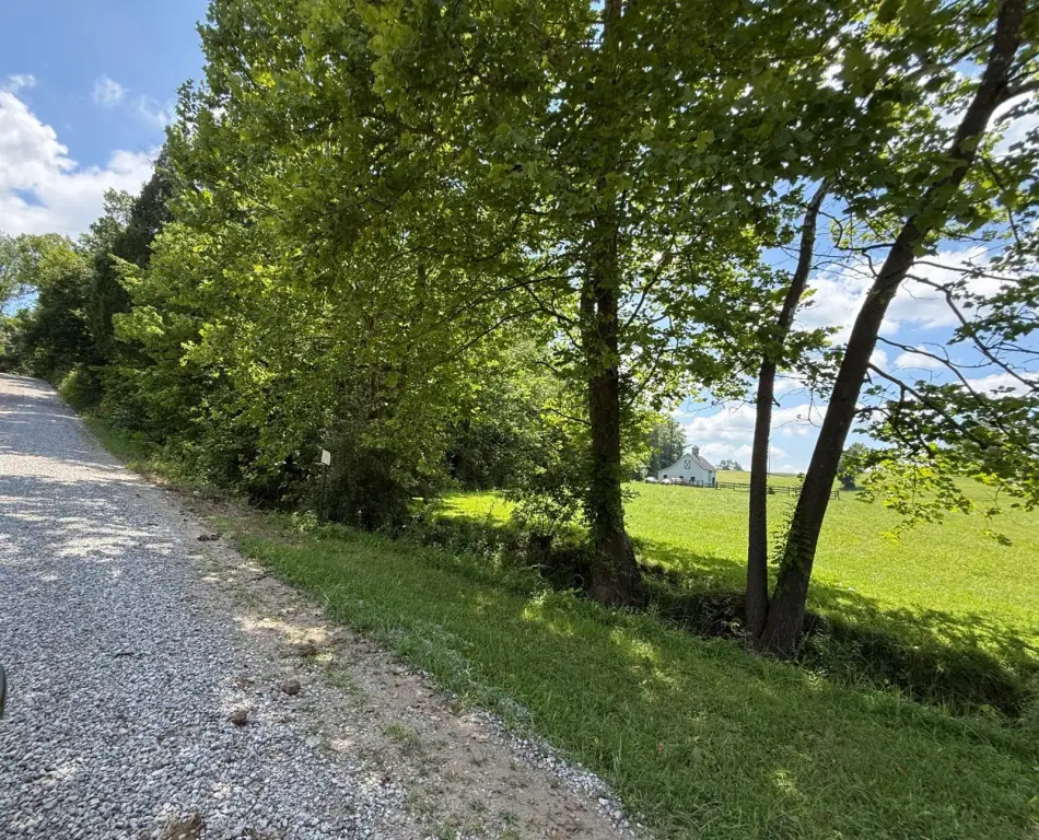 Picture 29