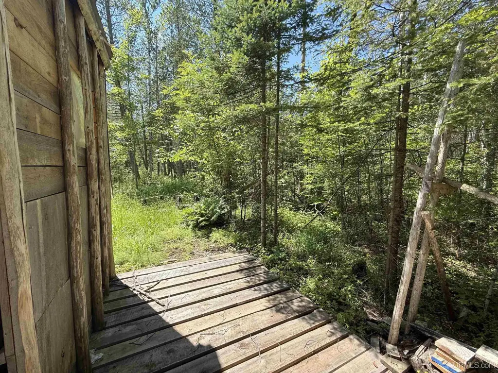Picture 33