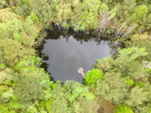 18.79 Acres Wooded Land with Pond