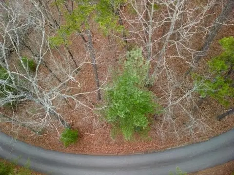 Morganton Acreage with Wooded Terrain