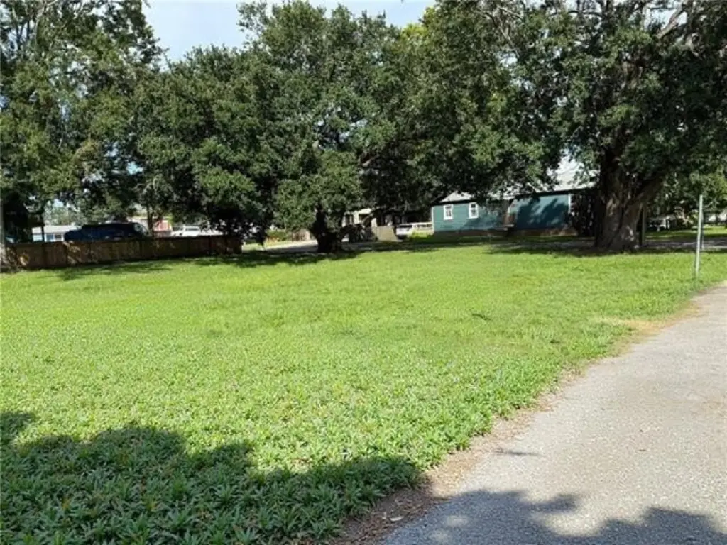 Picture 3