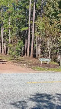 Townsend, GA Residential Building Lot