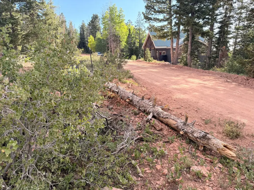 Picture 28