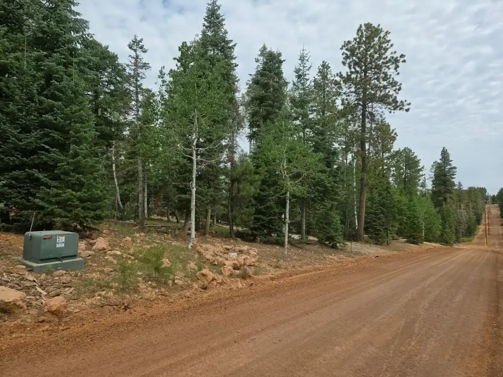 Picture 13