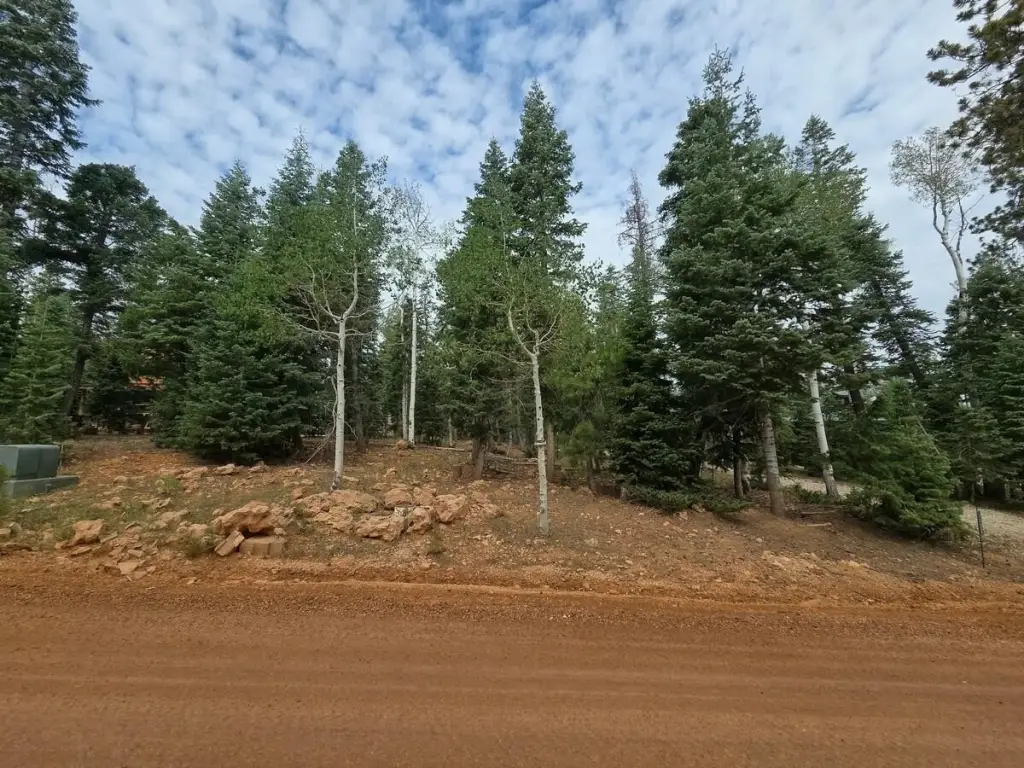 Picture 11