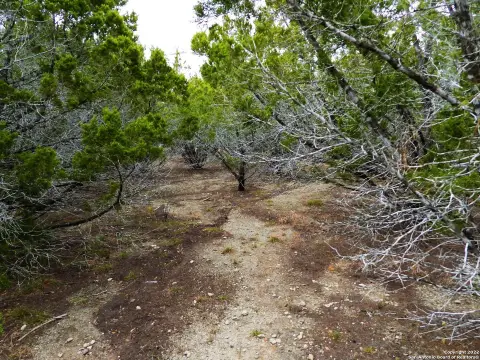 Residential Lot in Gated Community