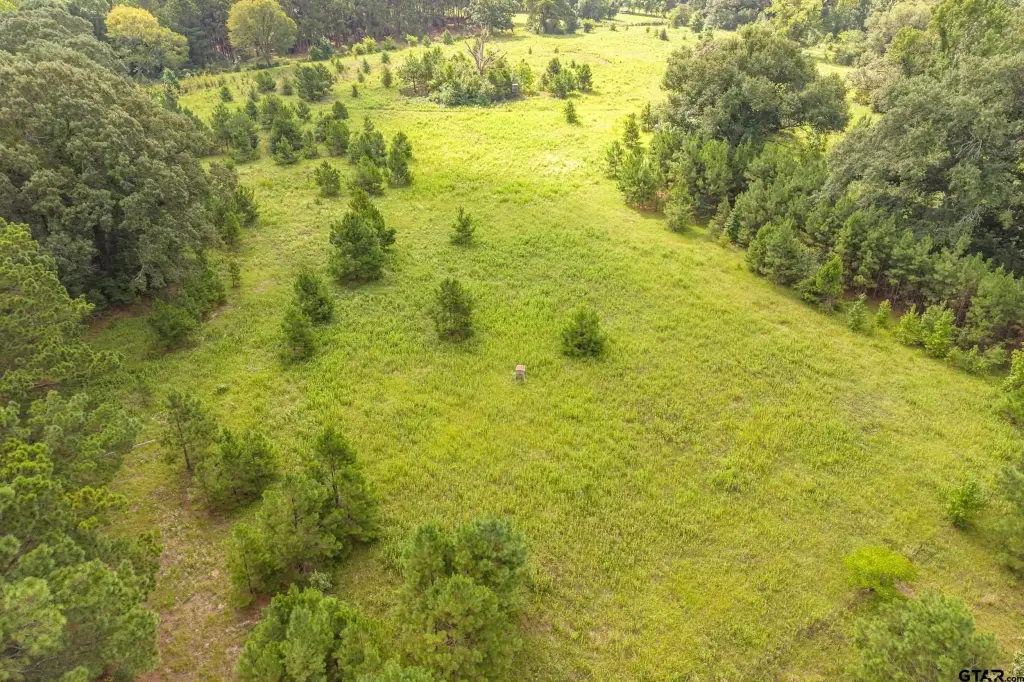 Picture 30