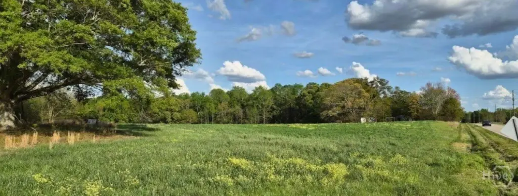 Picture 16