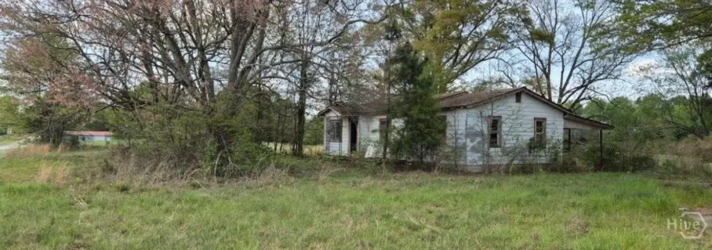Picture 17