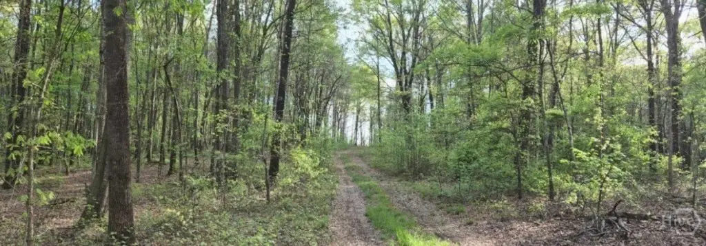 Picture 19
