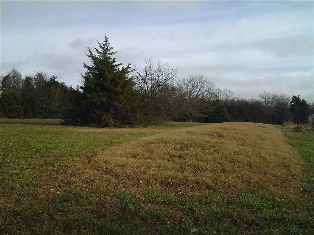 Picture 3