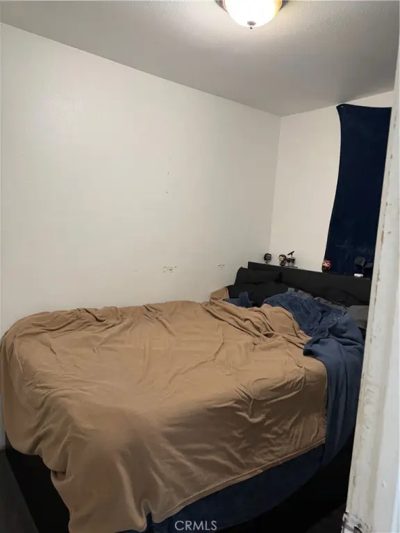 Picture 27