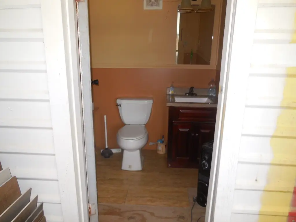Picture 5