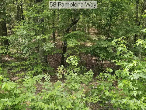 Hot Springs Village Subdivision Lot