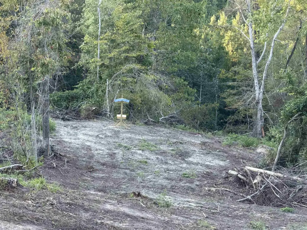 Picture 6
