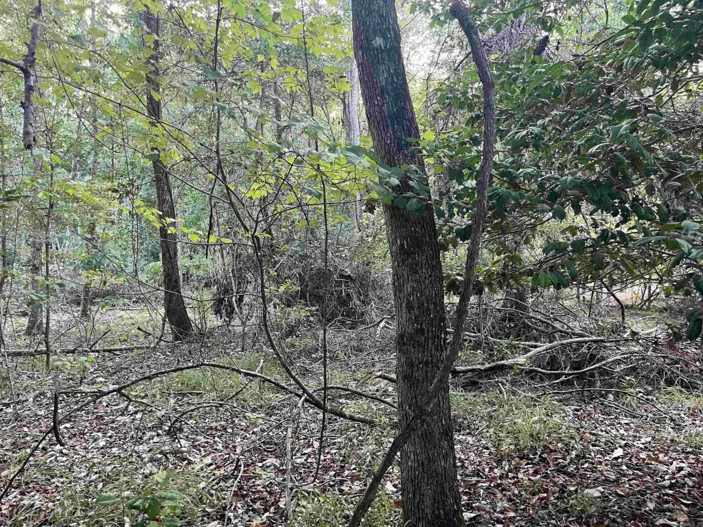 Picture 9