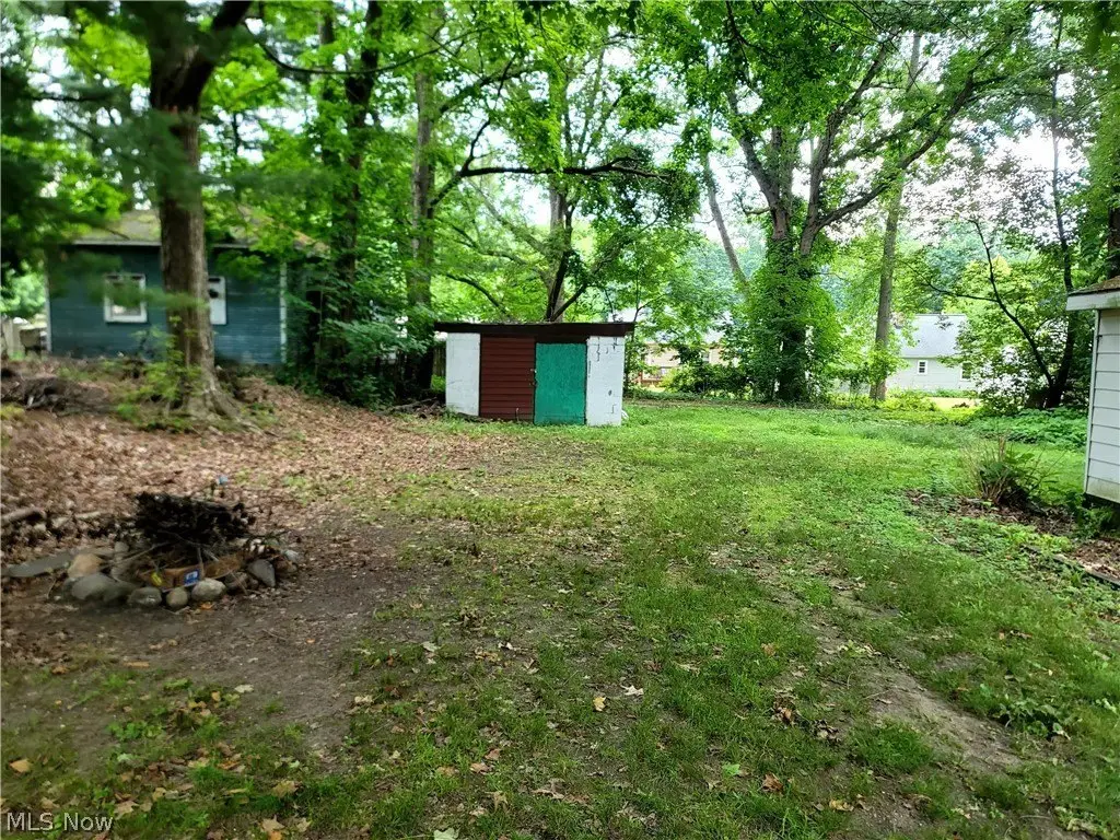 Picture 4