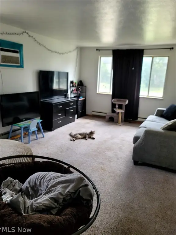 Picture 9