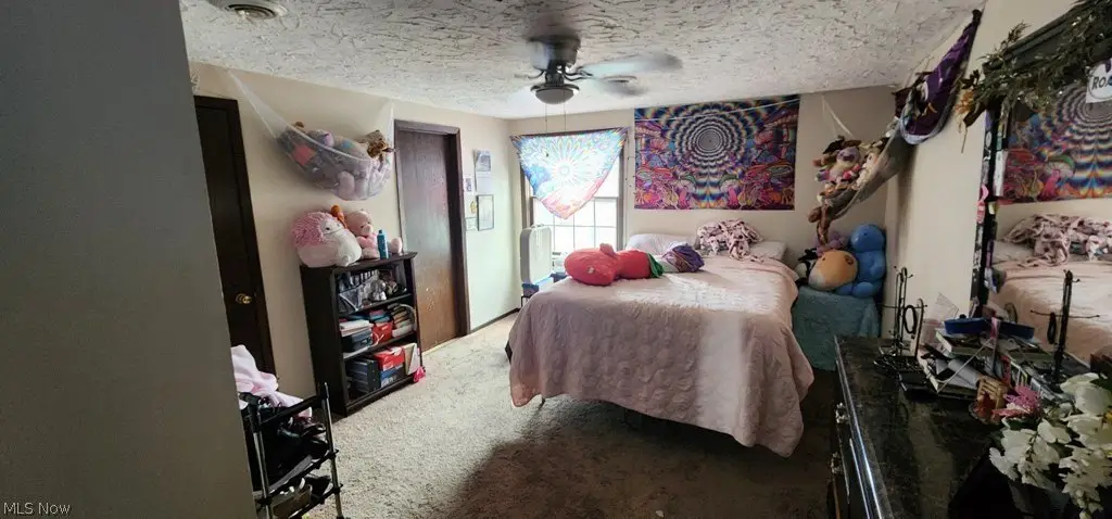 Picture 8