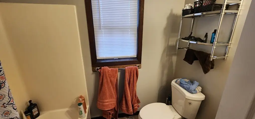 Picture 18