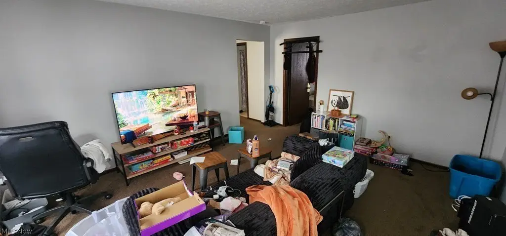 Picture 7