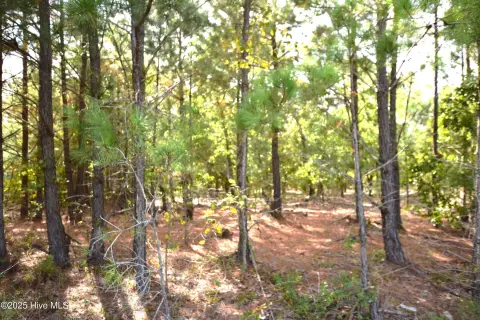 16 Acres in Jackson Springs