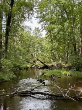 Pittsville Land with Stream