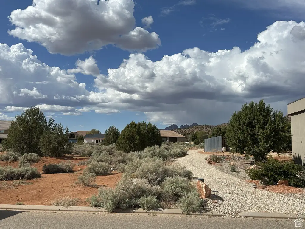 Picture 8