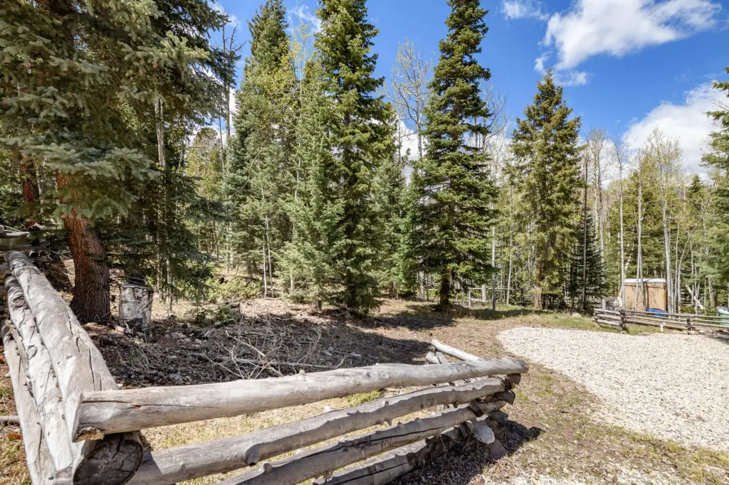 Picture 13