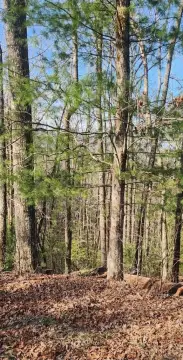 Hiawassee Vacant Land For Sale