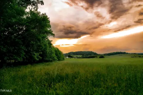 Limestone, TN Land Parcel