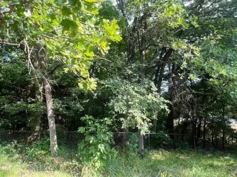 Land for Sale in Quinlan