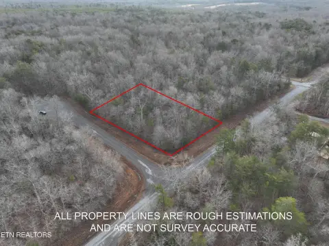Wooded Lot in Monterey, TN